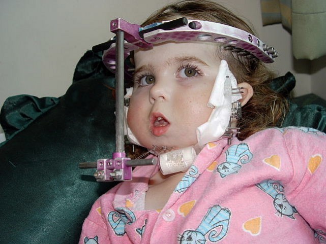 Resized Sample Image