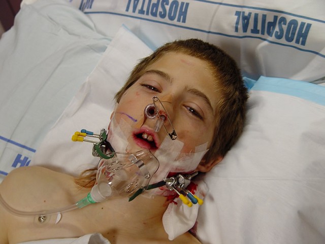 Resized Sample Image