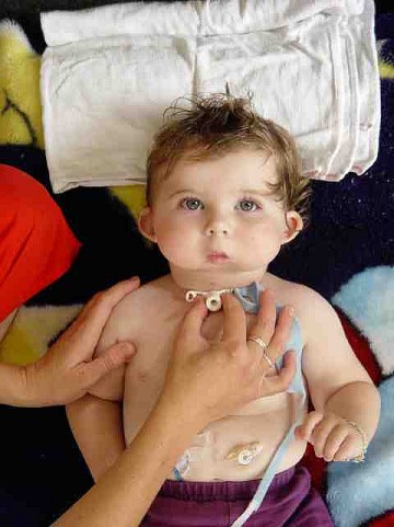 Resized Sample Image