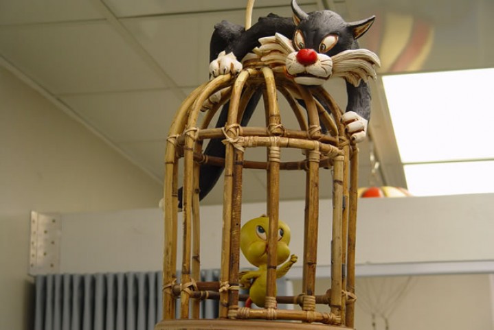 Resized Sample Image