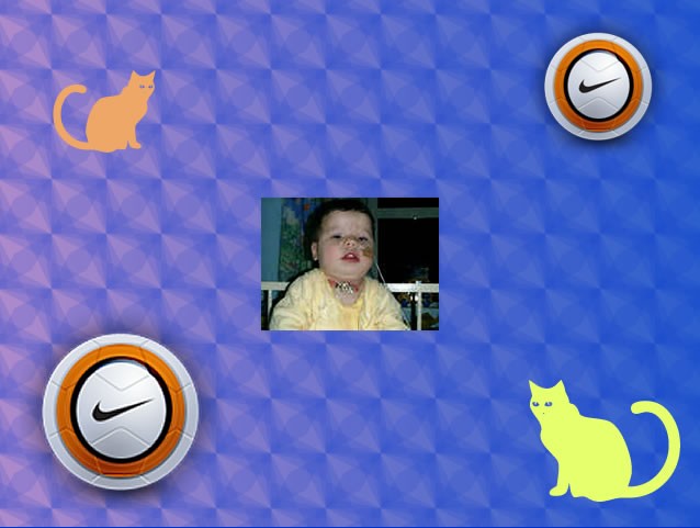 Resized Sample Image